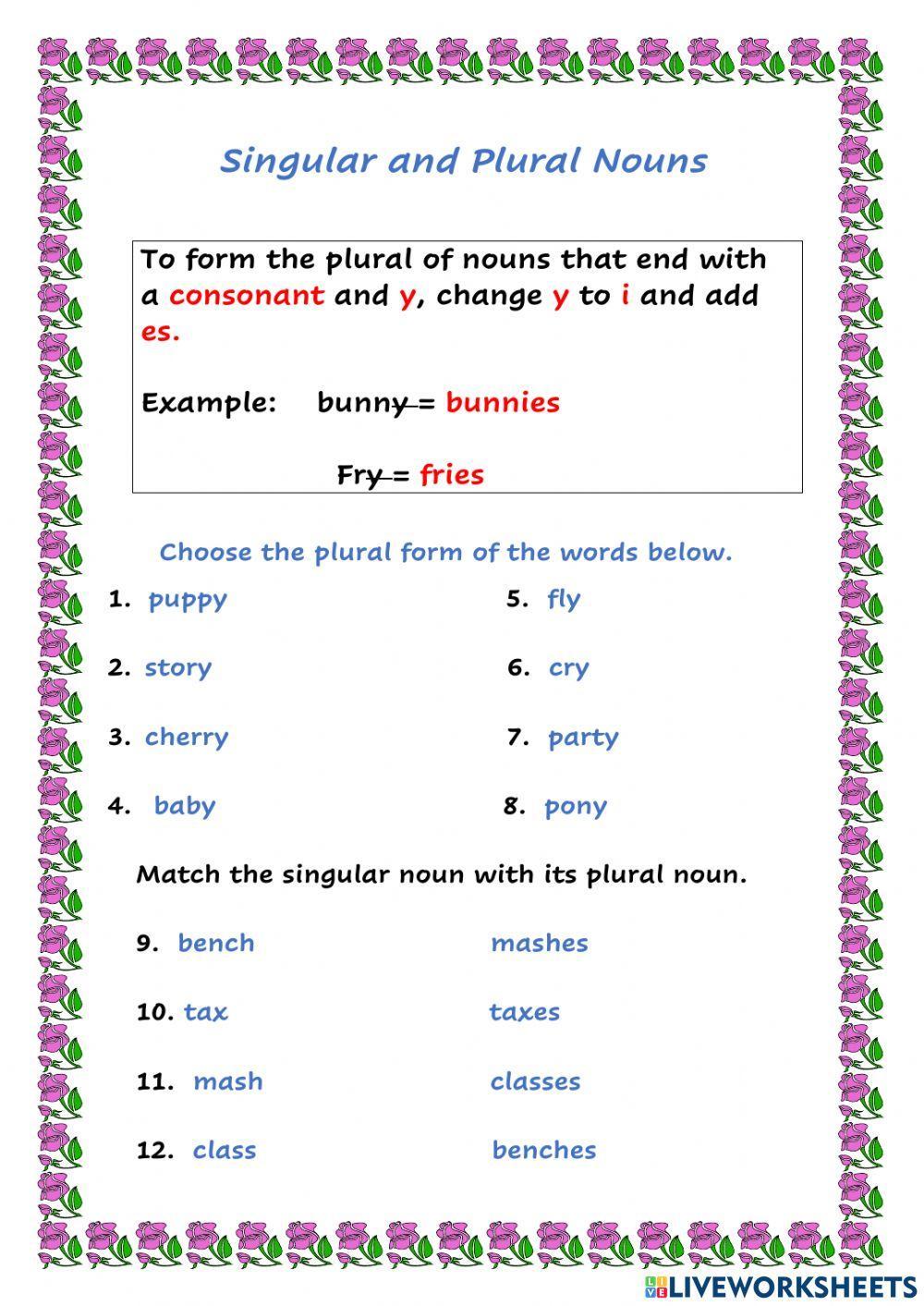 Plural Nouns with ies and es