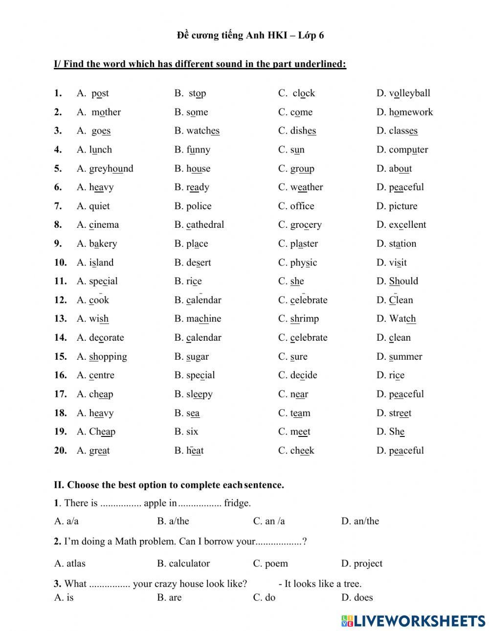 Grade 6 Term I Kim Giang - Part 1