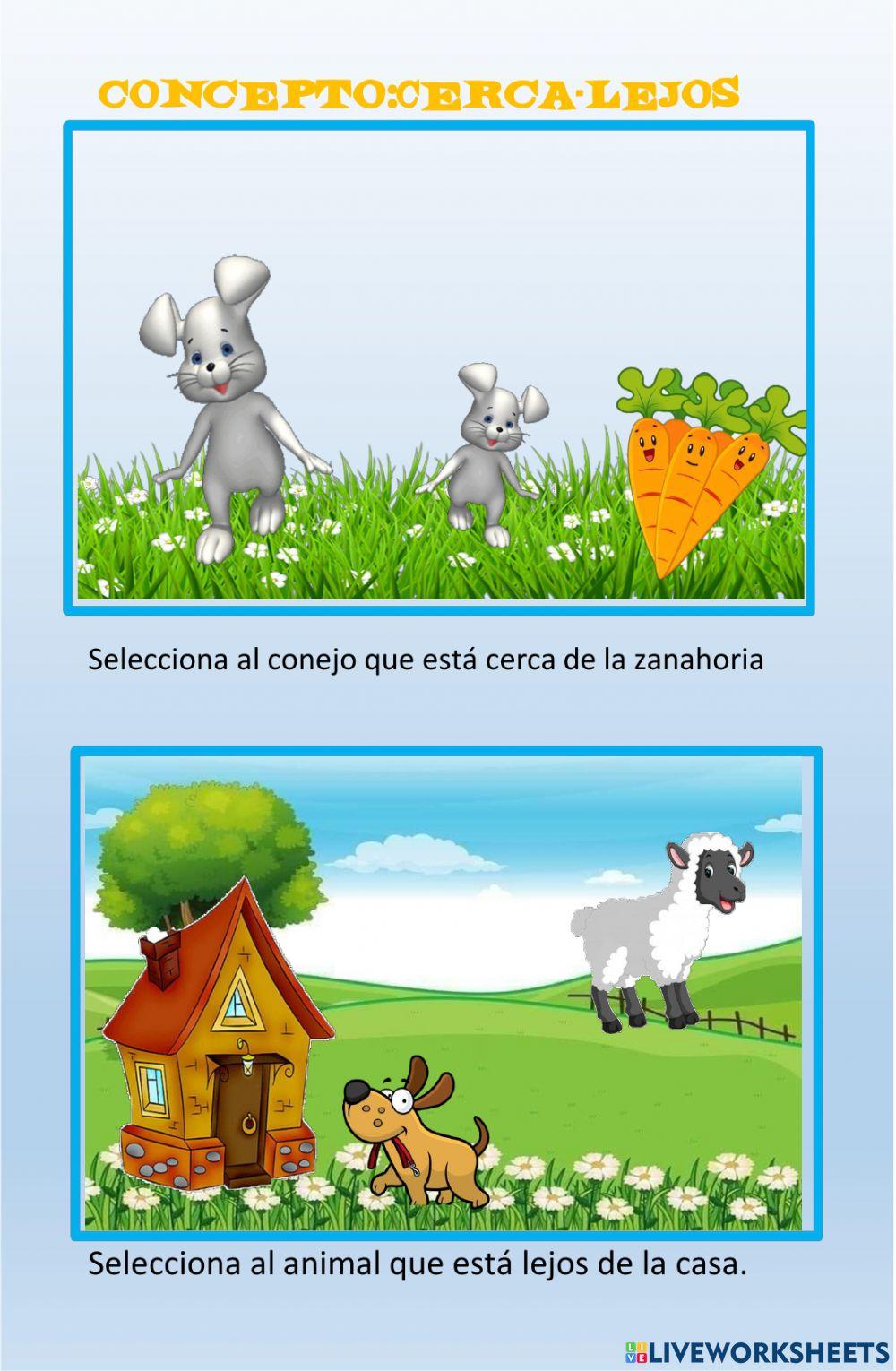 Concepto cerca -lejos