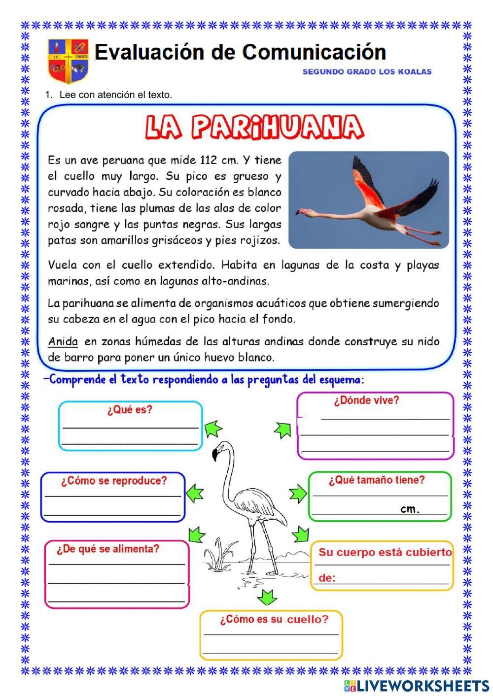 Evaluación comunicación