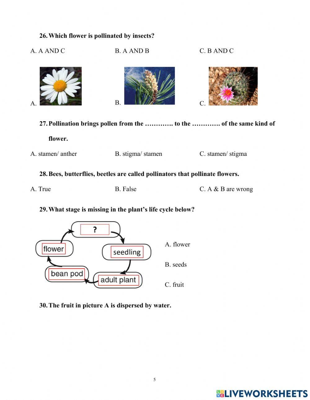 Science 5 - revision 1- semester 1