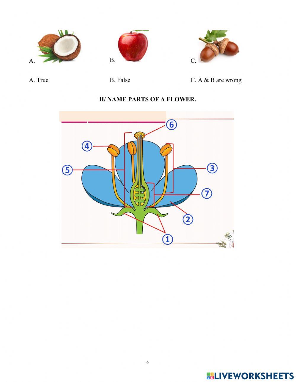 Science 5 - revision 1- semester 1