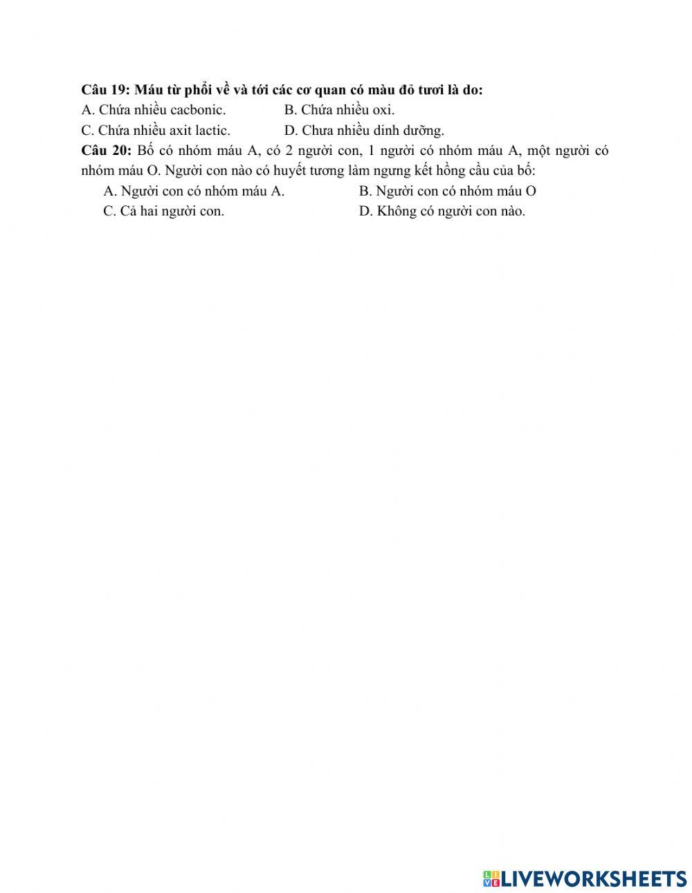 Phiếu bài tập số 1 sinh 8 cuối ki 1