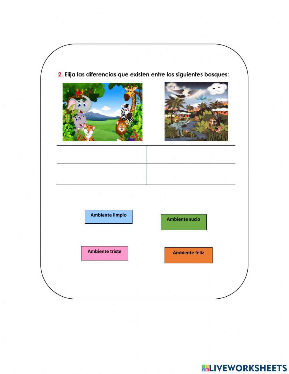 Ficha de comprensión e interpretación