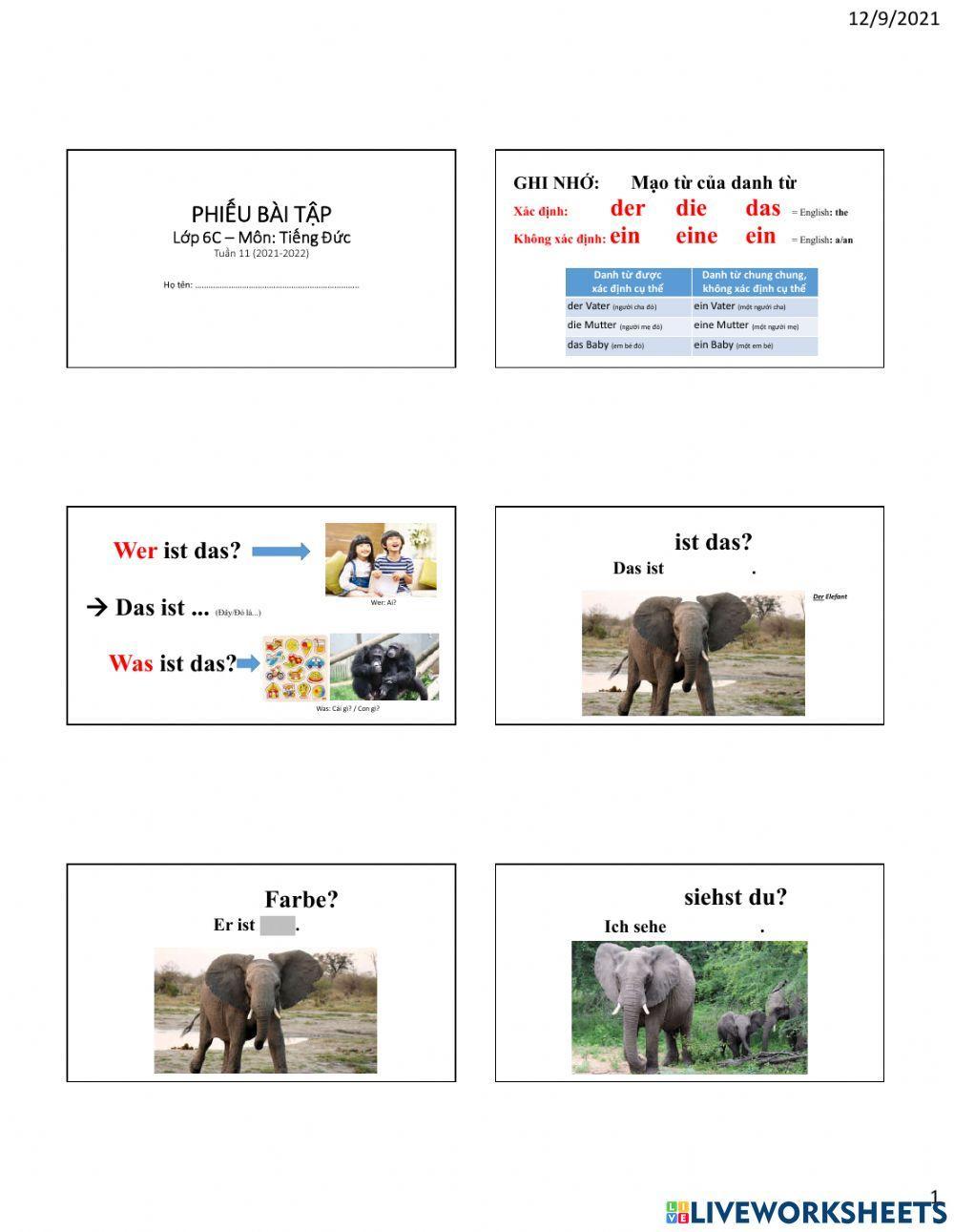 Tiere - Was, Welche Farbe, Wieviele