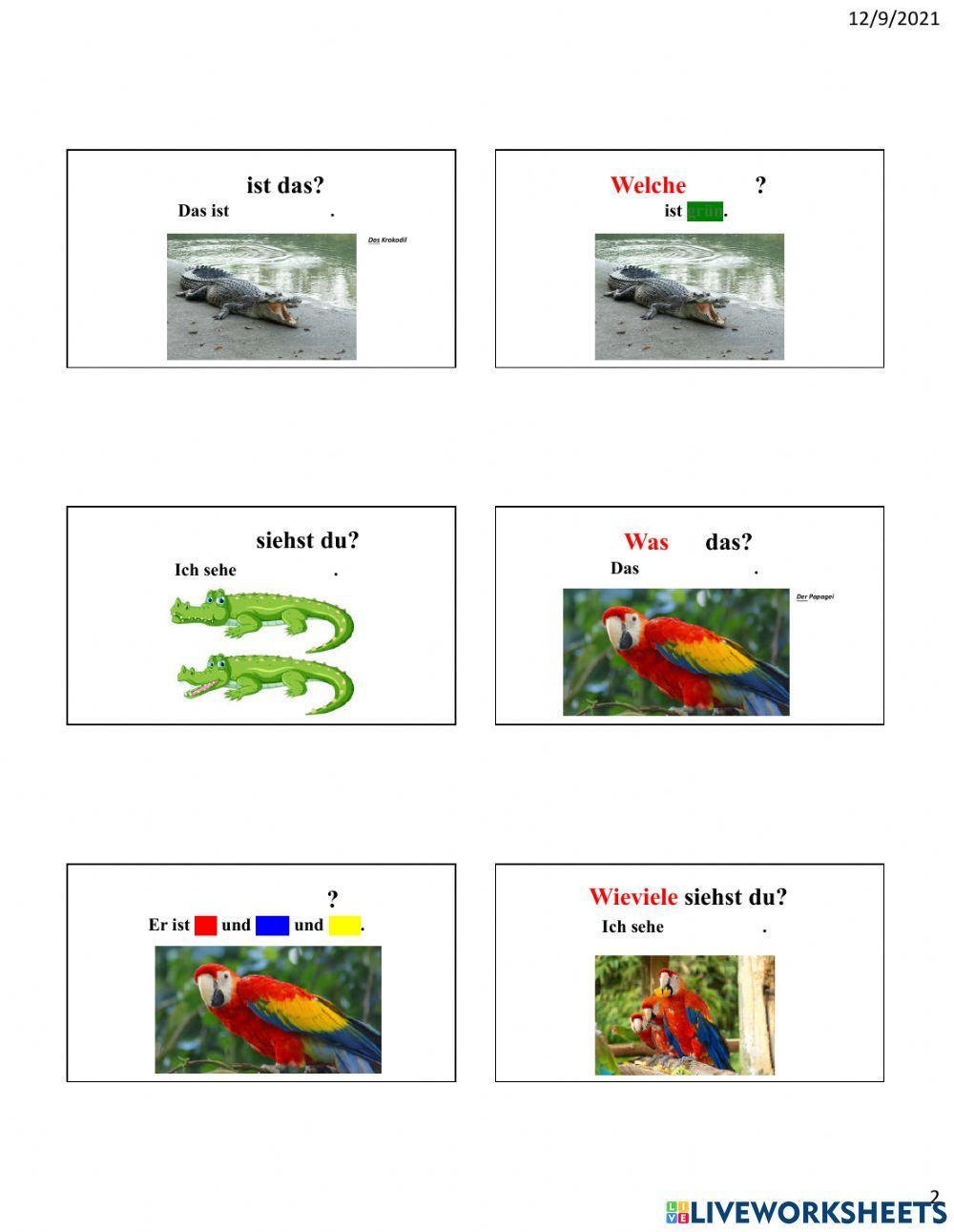 Tiere - Was, Welche Farbe, Wieviele