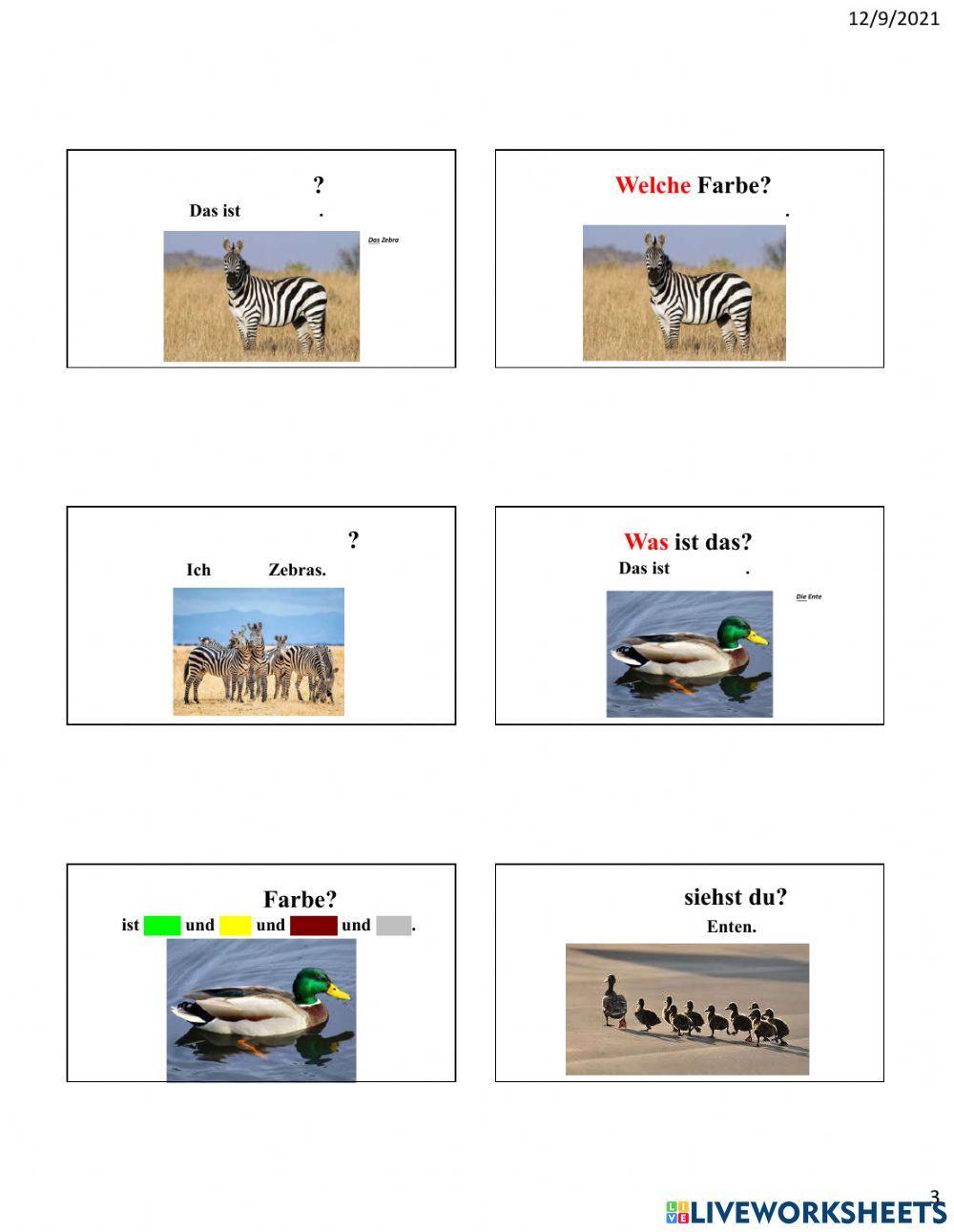 Tiere - Was, Welche Farbe, Wieviele