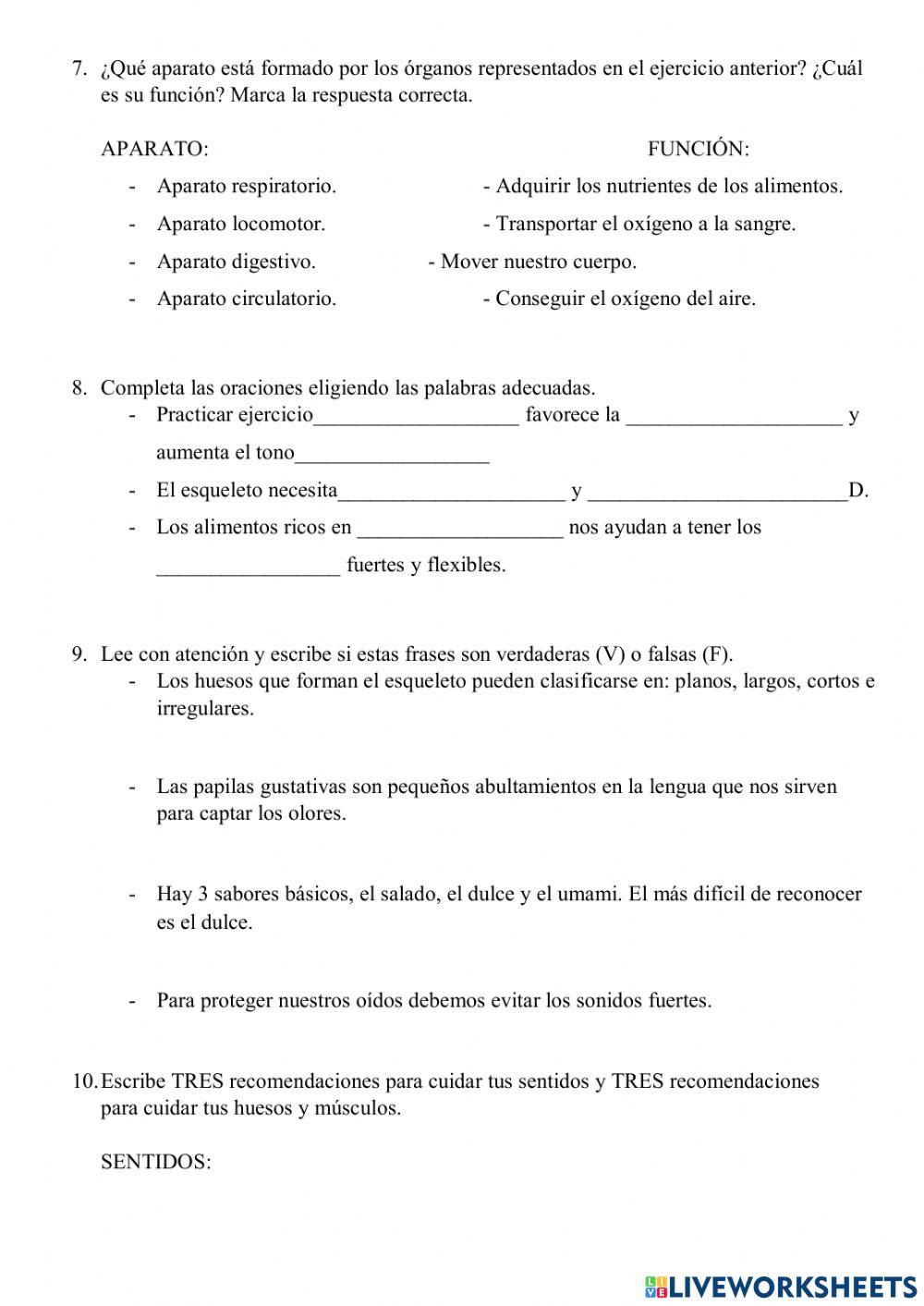 Los sentidos y el aparato locomotor Los sentidos y el aparato locomotor