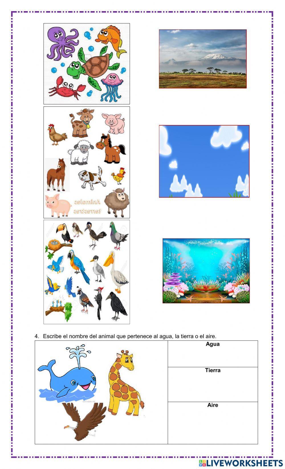 Animales acuaticos, terrestres y aereos