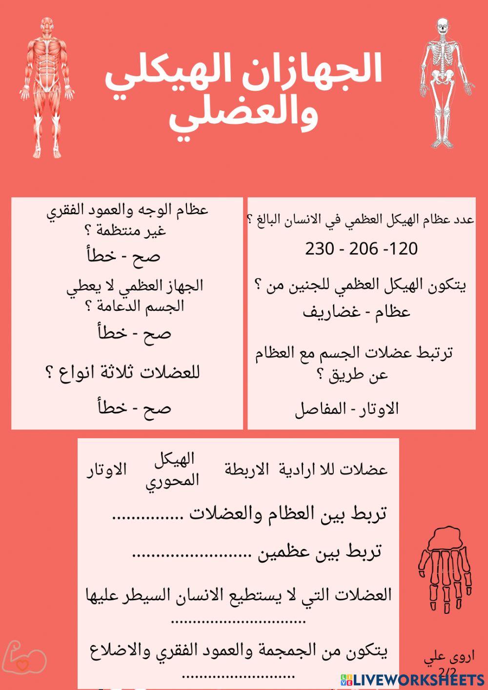 الجهازان الهيكلي والعضلي