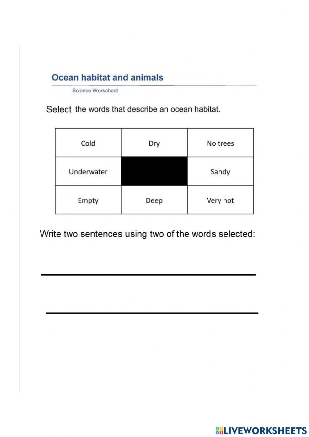 Ocean Habitat Worksheet