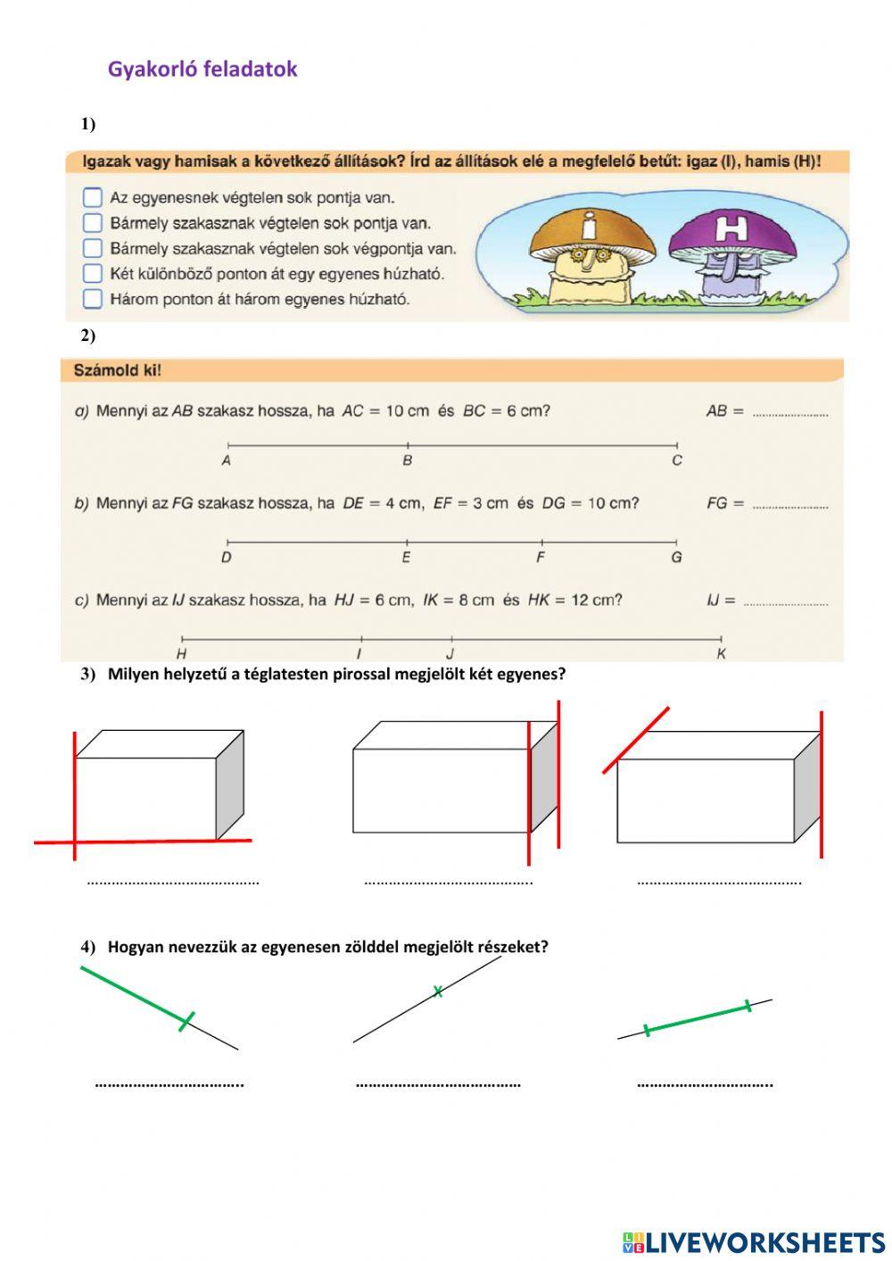 Geometria gyakorló 5.o