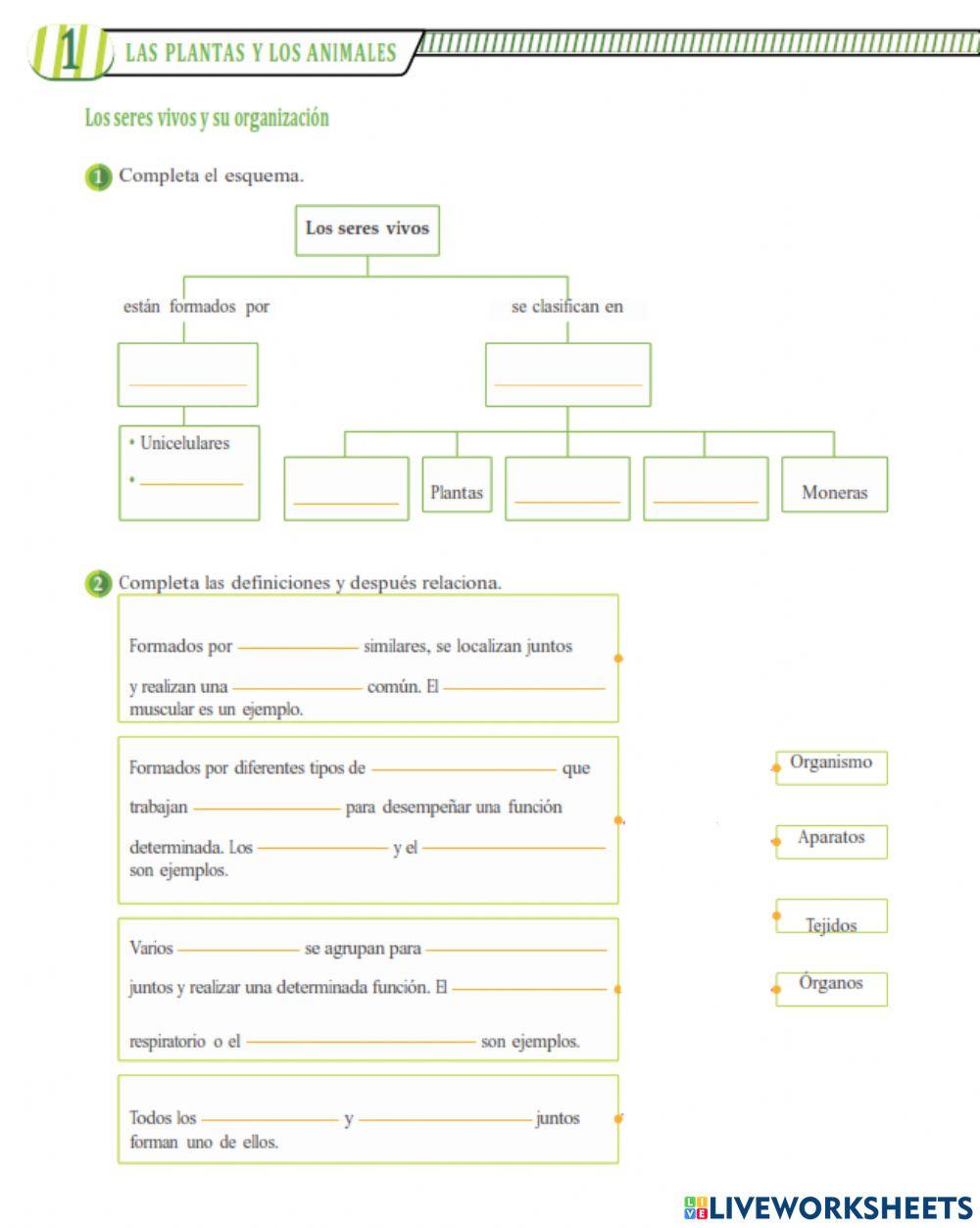 Los seres vivos y su organización