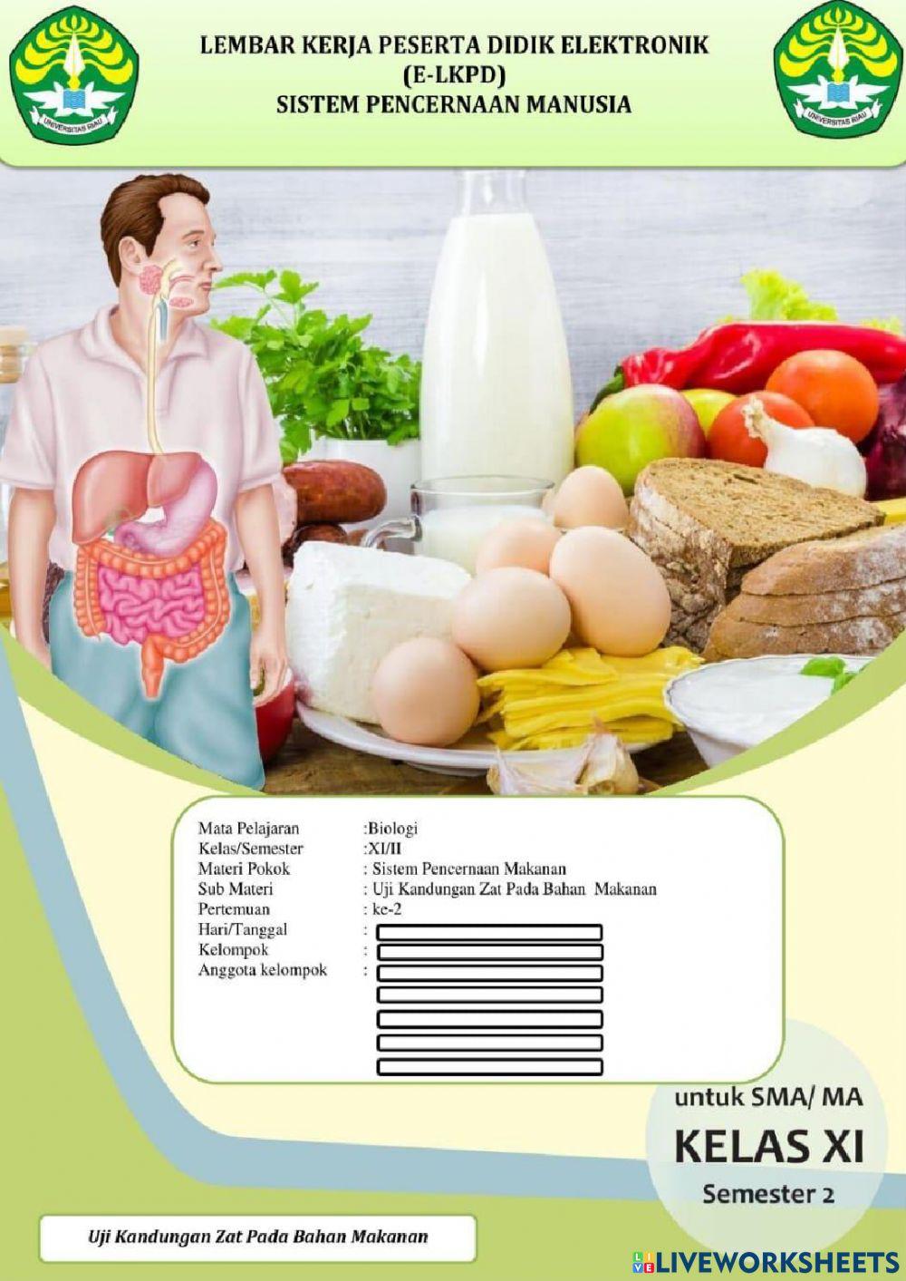 E-LKPD SISTEM PENCERNAAN MAKANAN (Uji Kandungan Zat Pada Bahan Makanan)