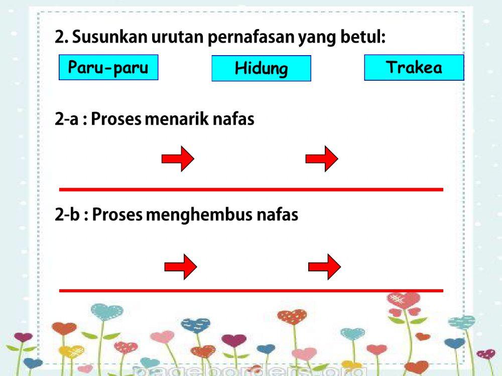 Sains Tahun 4 : pernafasan manusia
