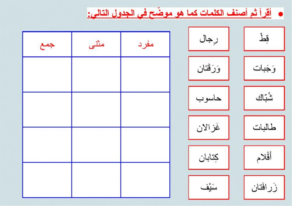 الثروة اللغوية - المفرد والمثنى والجمع (١)