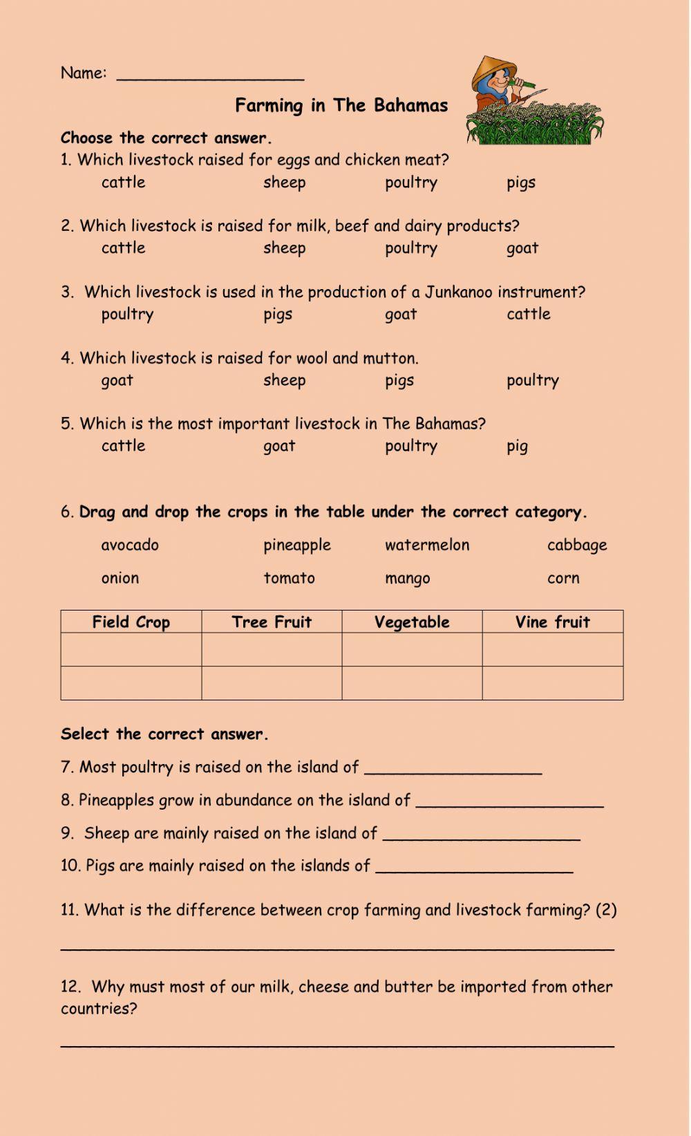 Farming in The Bahamas