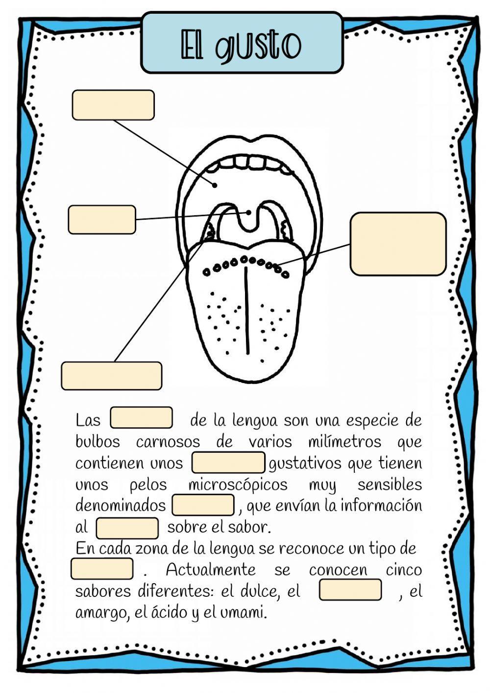 Sistema nervioso y sentidos