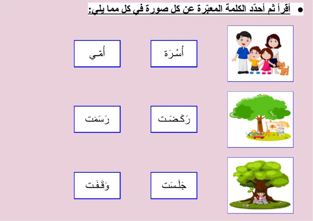 حديقة جميلة - الثروة اللغوية (١)