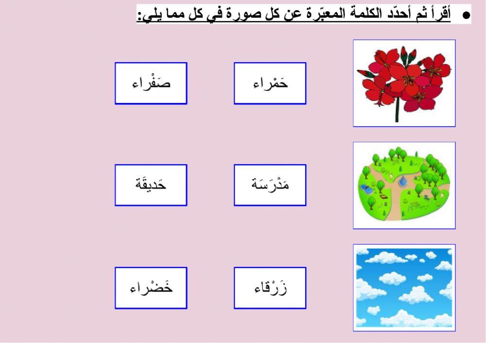 حديقة جميلة - الثروة اللغوية (١)