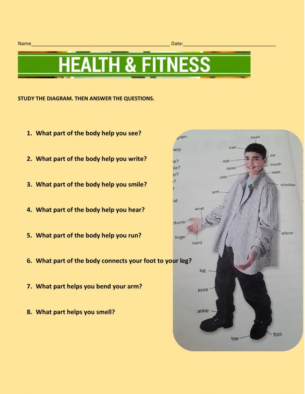 Parts of the body and their uses