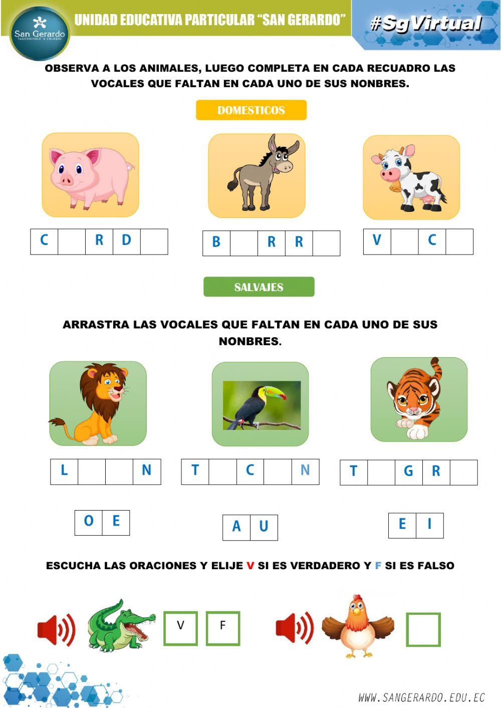 Clasificación de animales