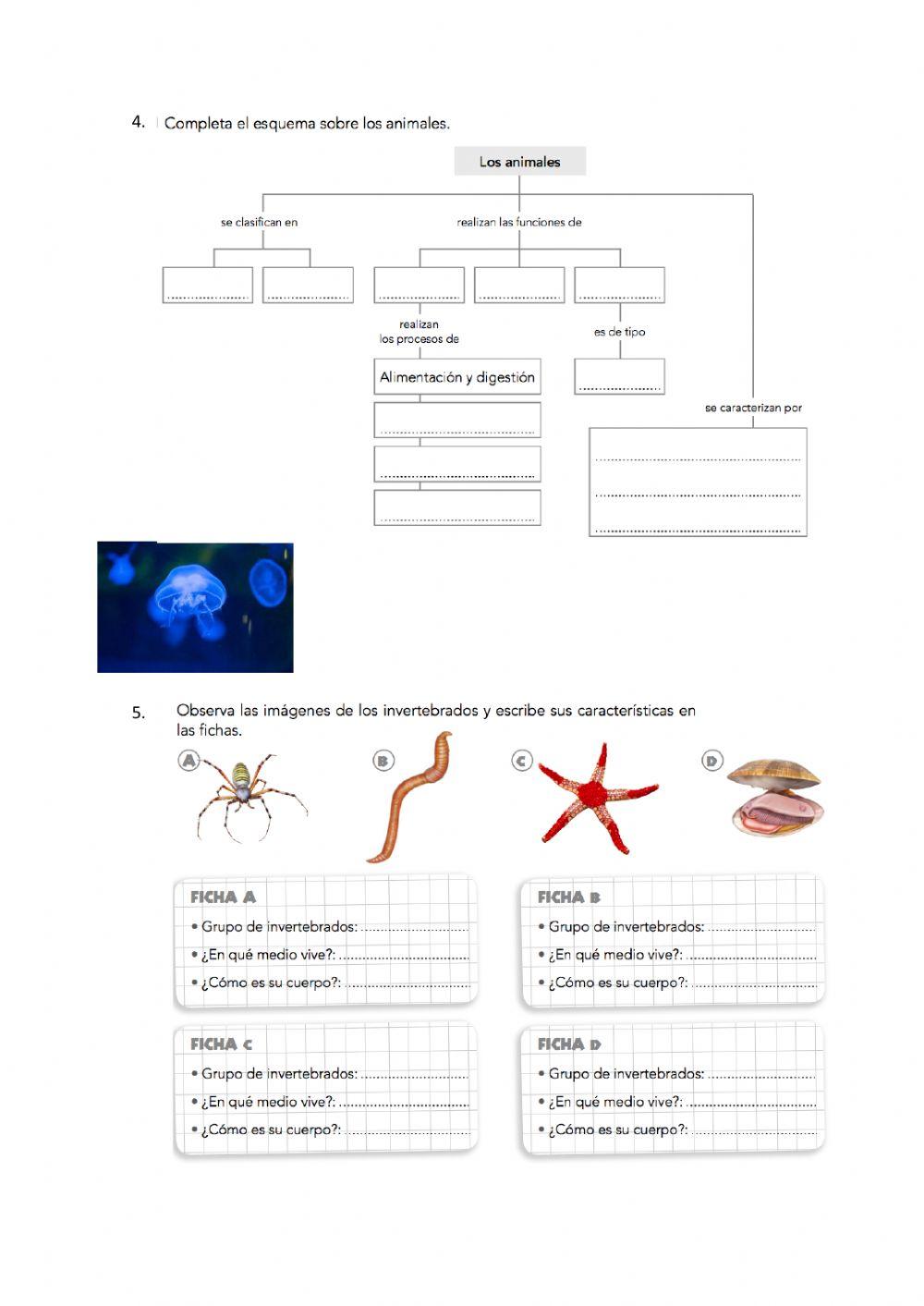 Naturales 6º-Unidad 2