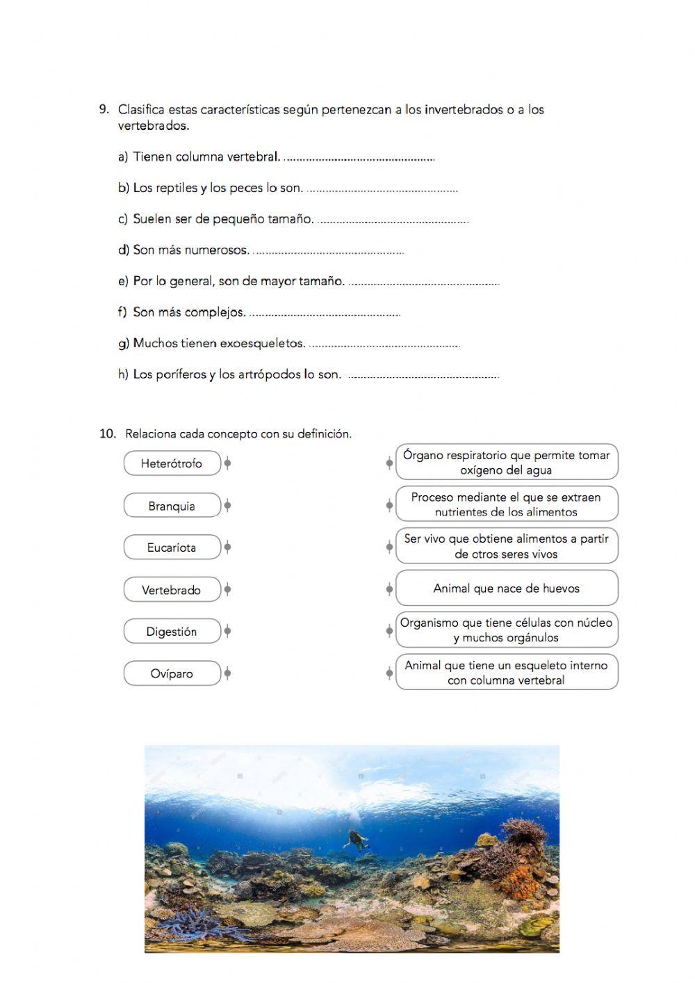 Naturales 6º-Unidad 2