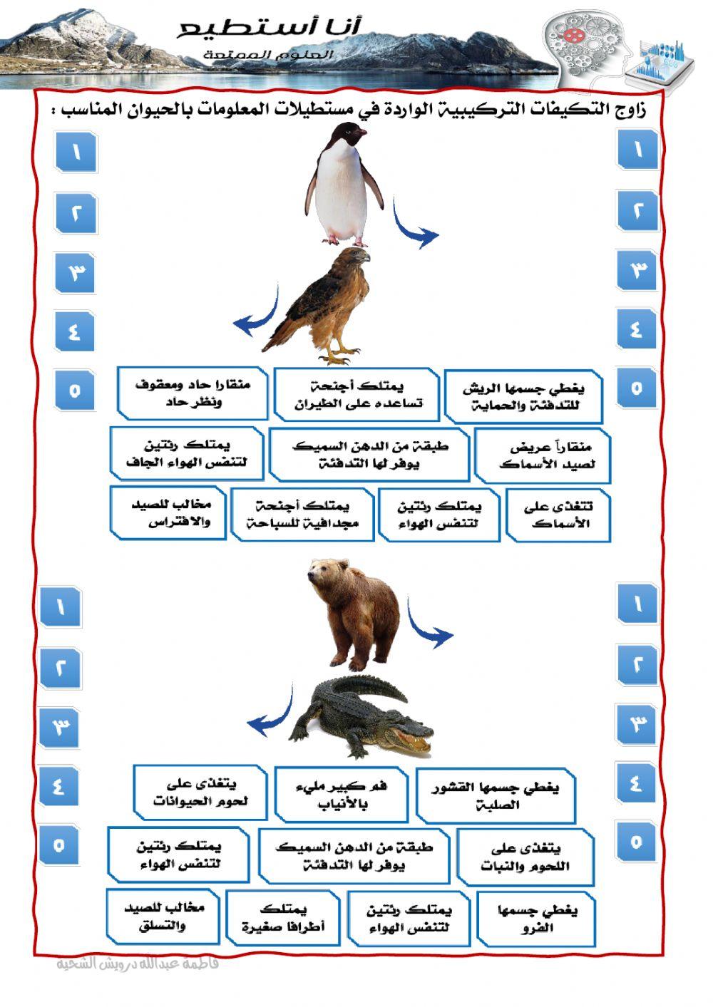 الحيوانات في المواطن الطبيعية