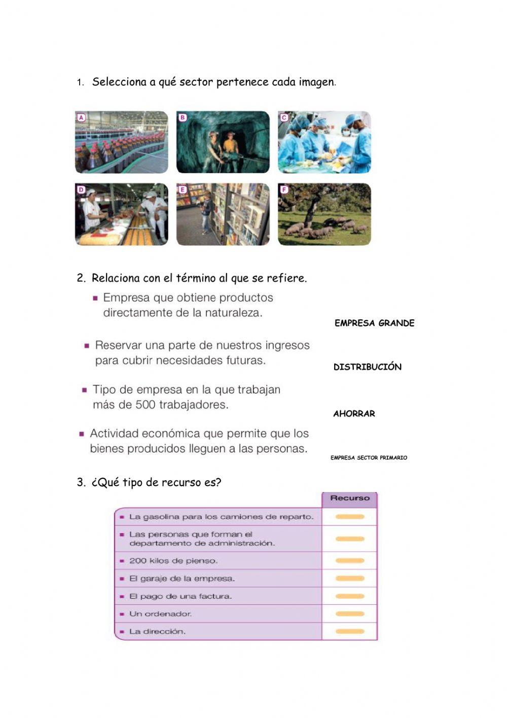 La actividad económica