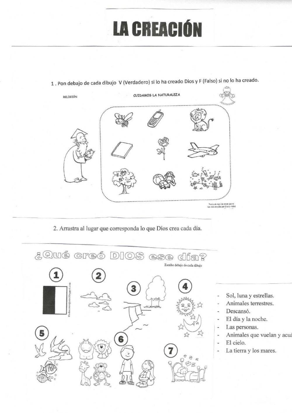 La creación de Dios