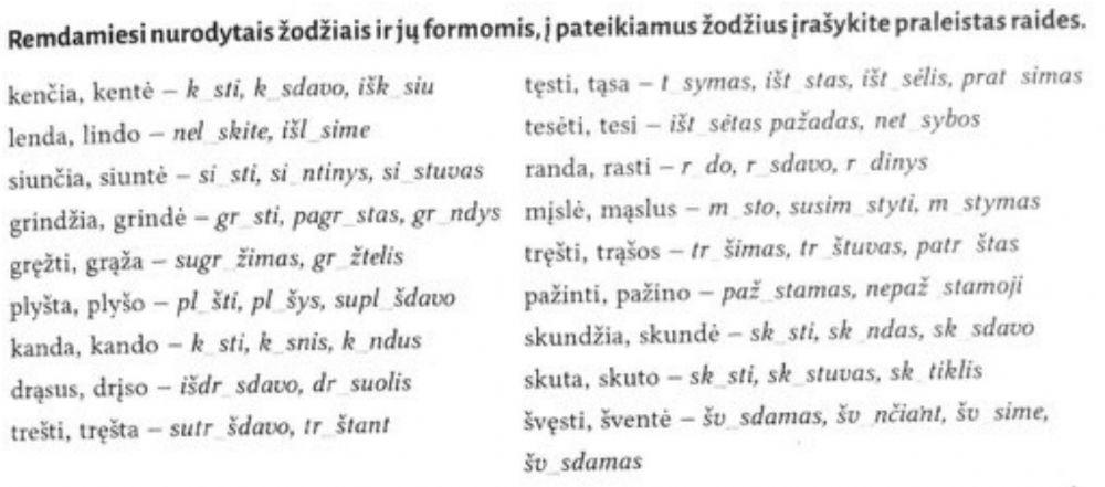 Taisyklių taikymas (nosinės šaknyje)