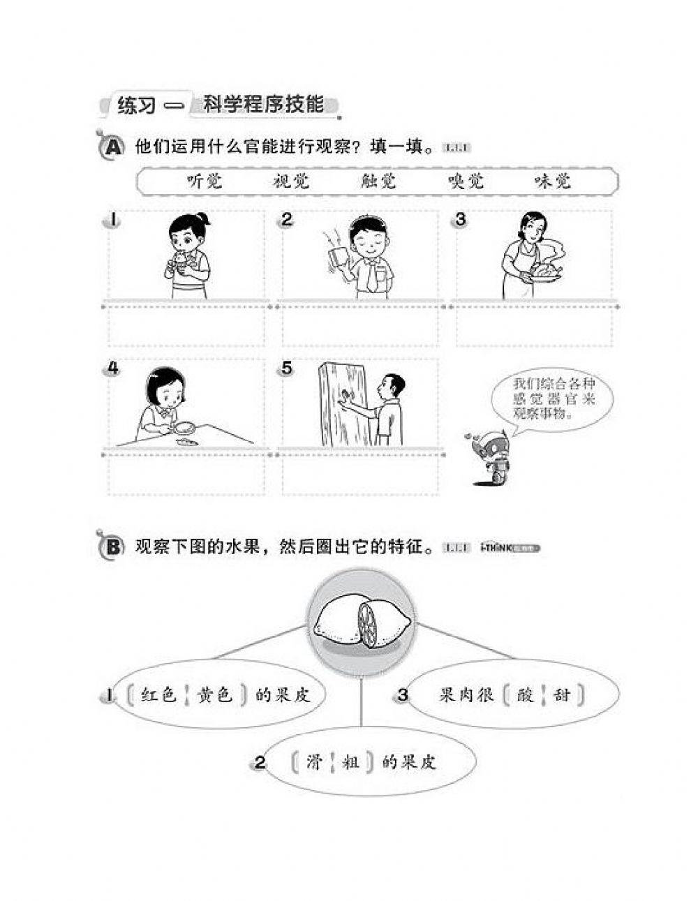 3年级科学 第一课（科学程序技能）