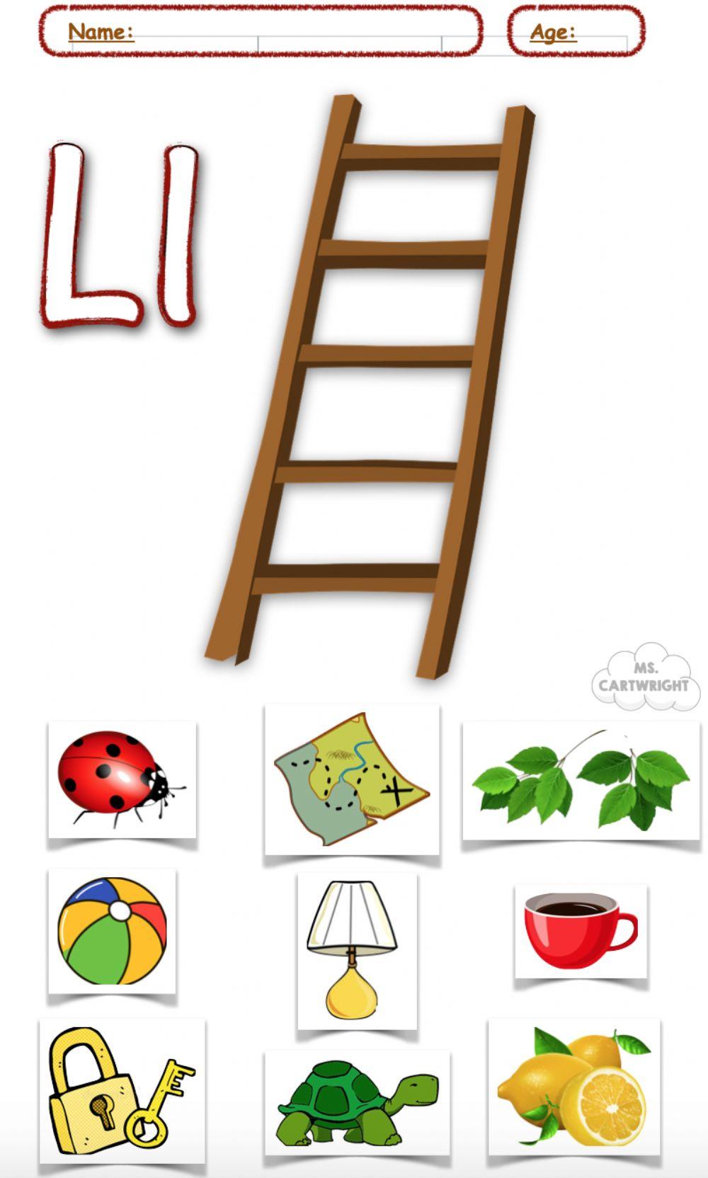 Little Ladder