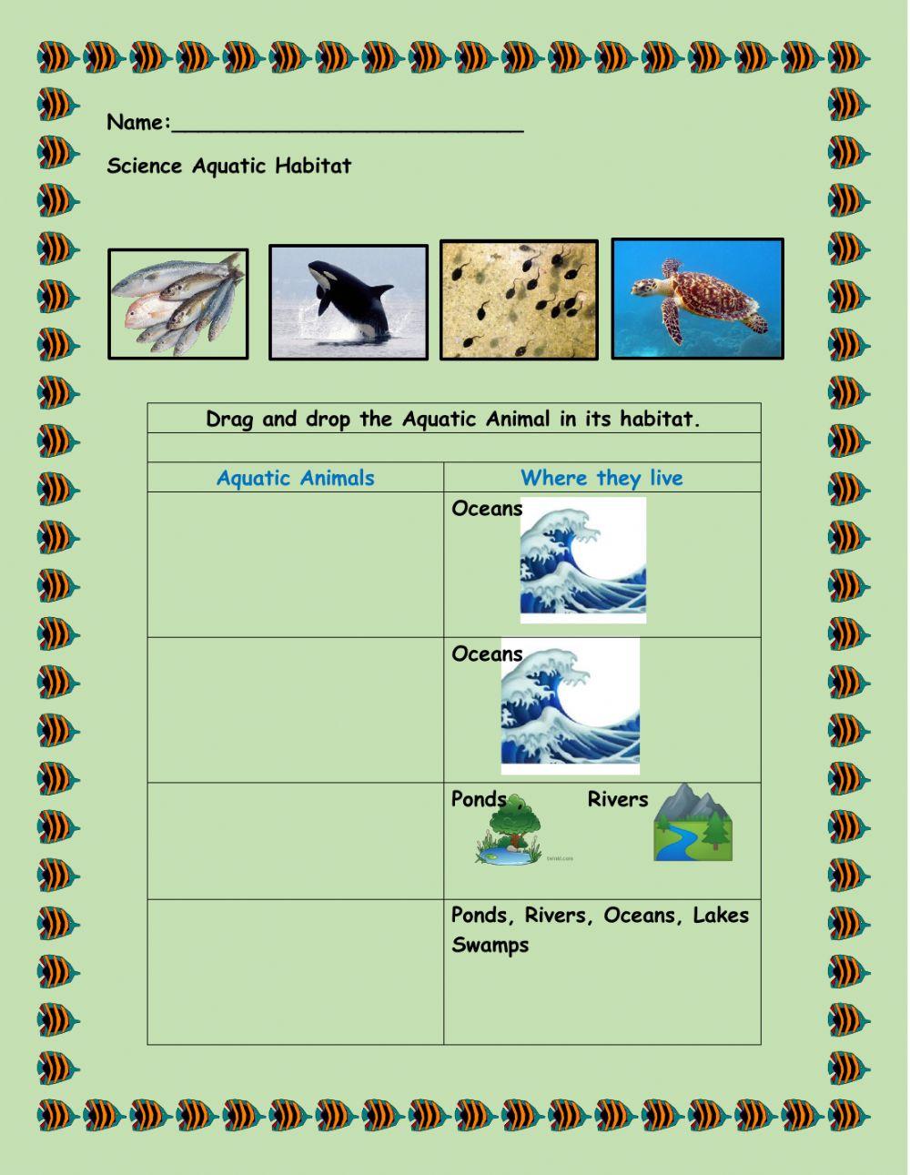 Aquatic Animals Aquatic Animals