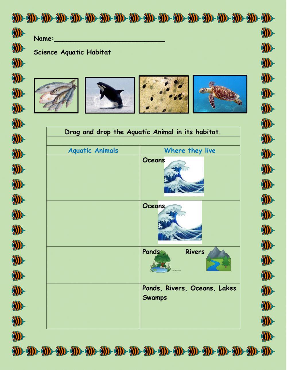 Aquatic Animals