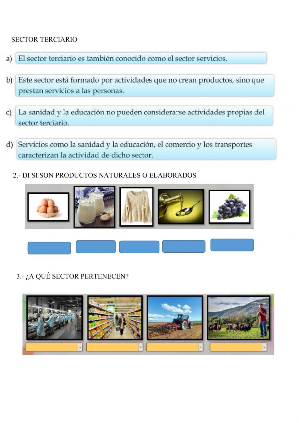 Sectores económicos