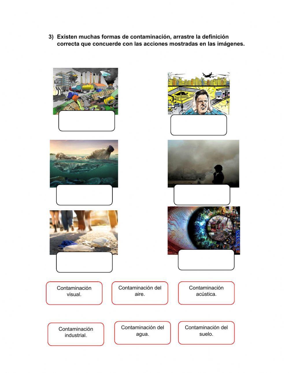 Evaluación de Biodiversidad