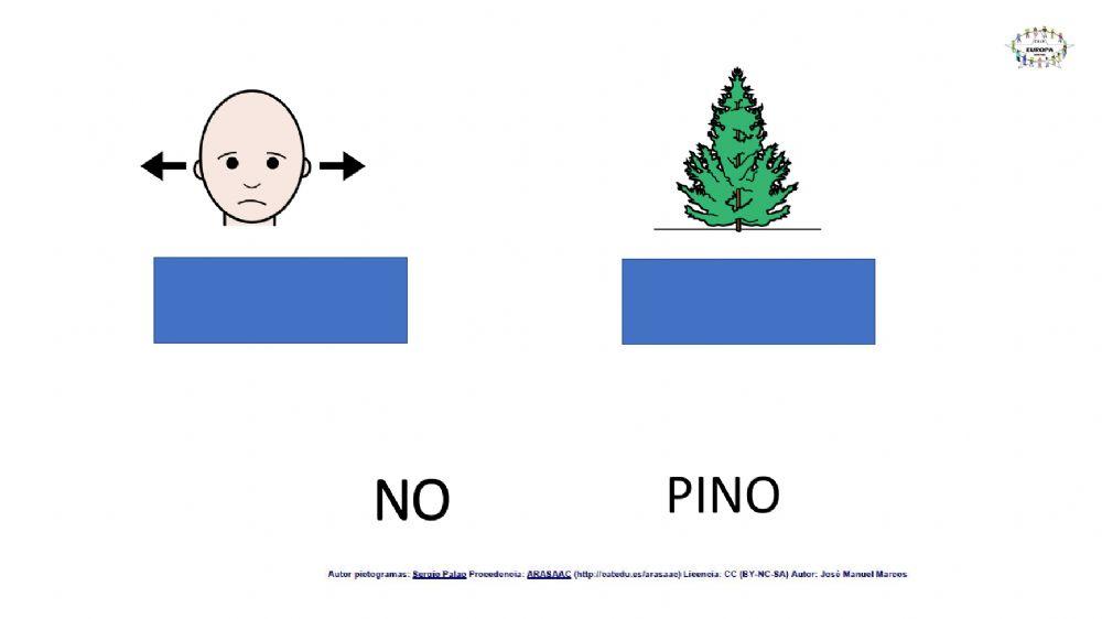 Palabras con N actividades