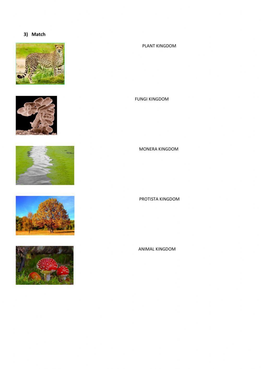 Kingdoms of living things