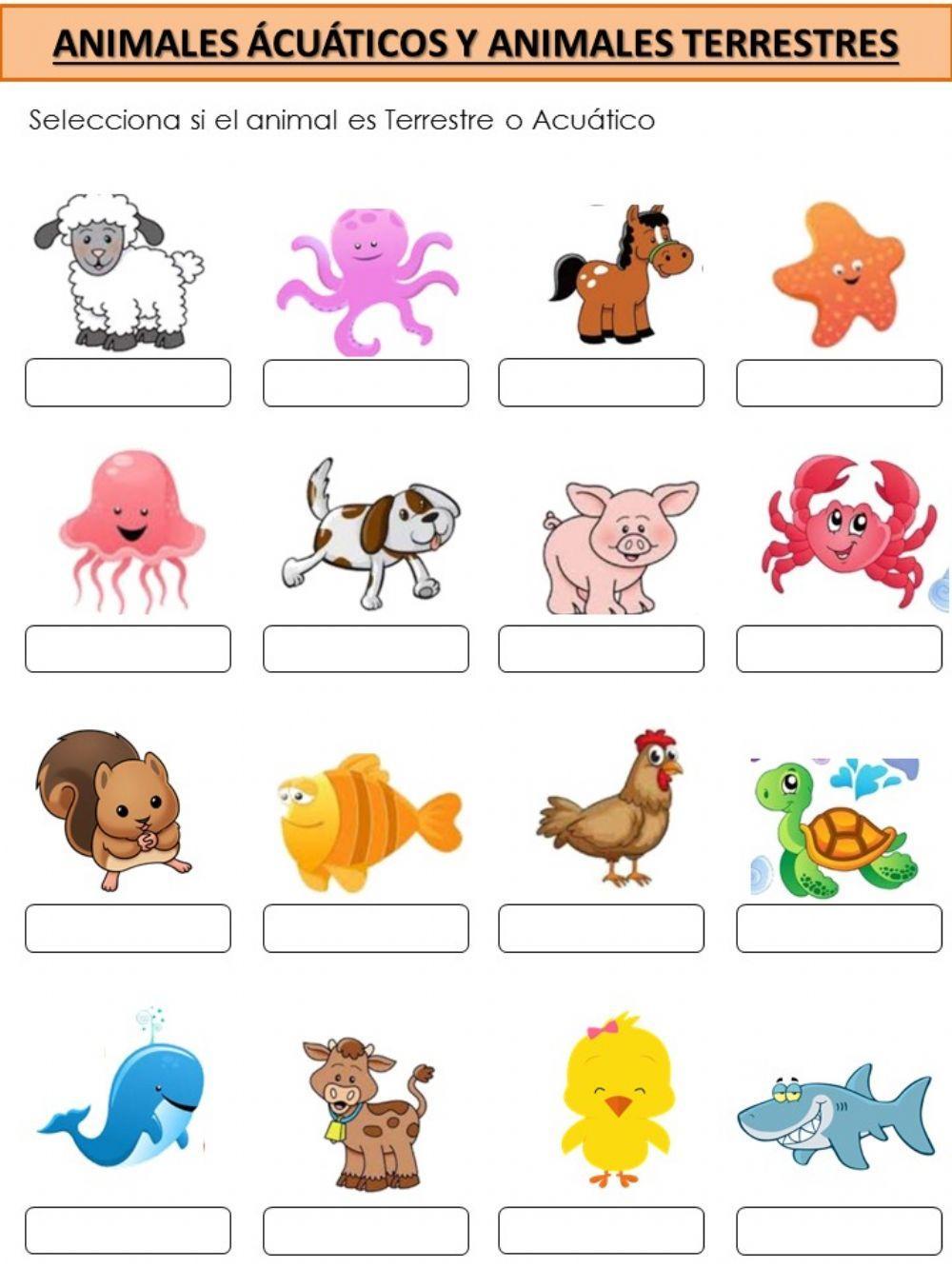 Animales Terrestres y Acuáticos