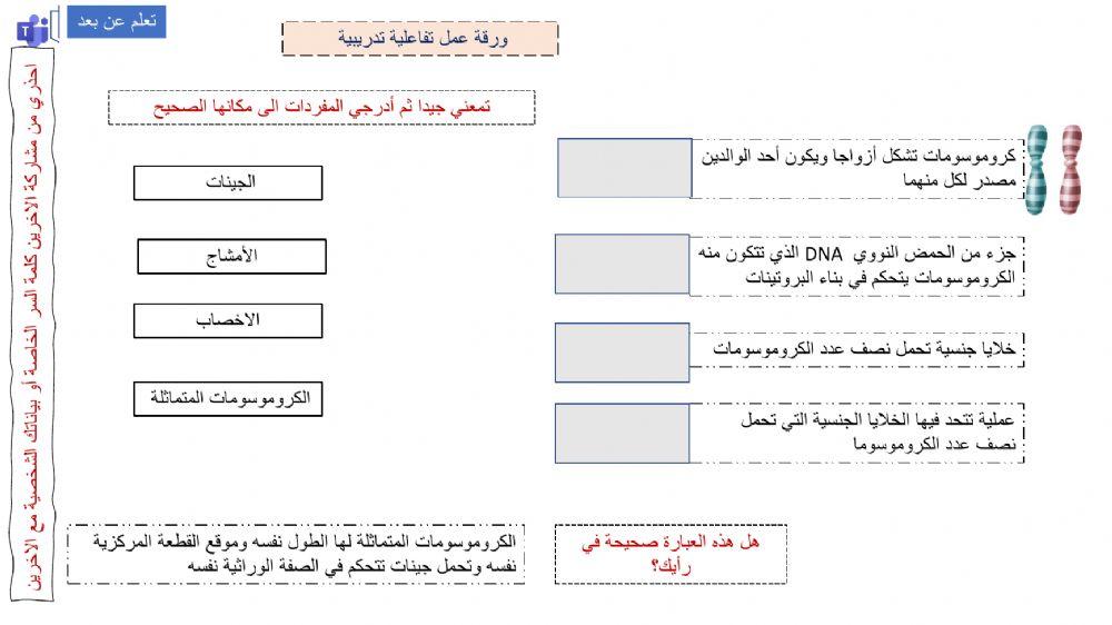 الانقسام المنصف