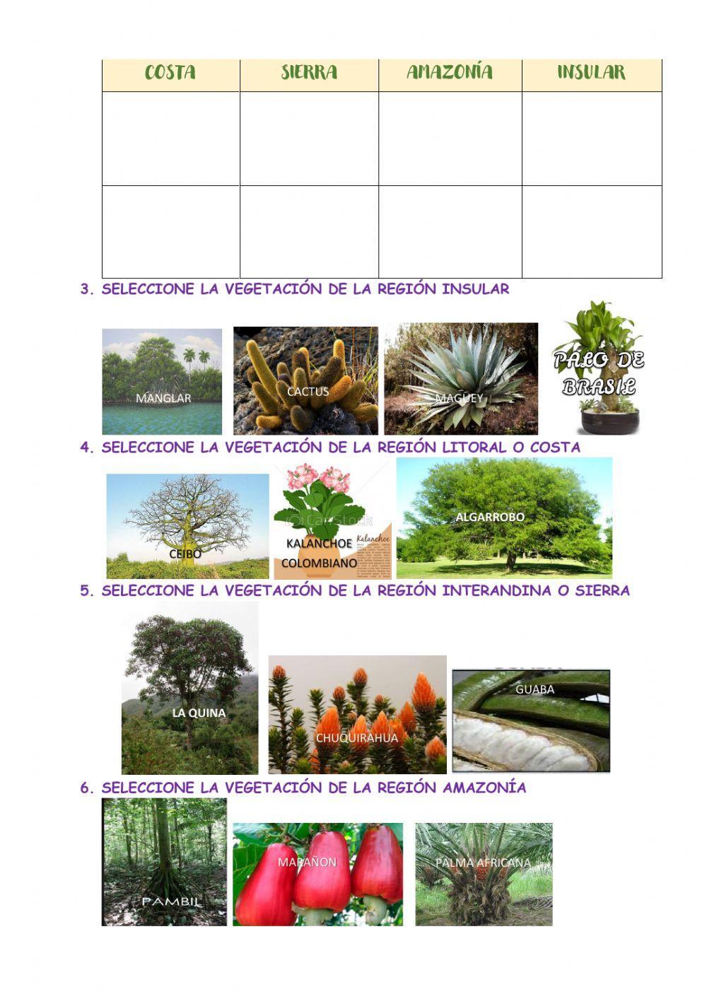 Diversidad e importancia de los vertebrados y de las plantas con semillas en regiones naturales del ecuador