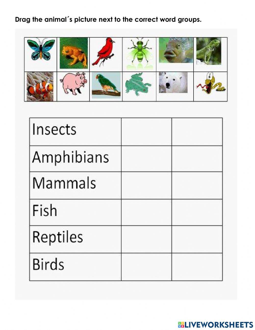 Science Diagnostic Test