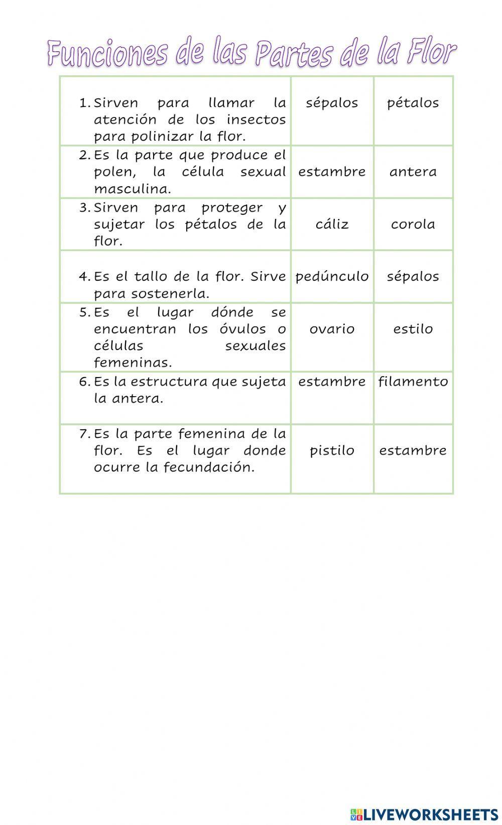 Las partes y funciones de la flor