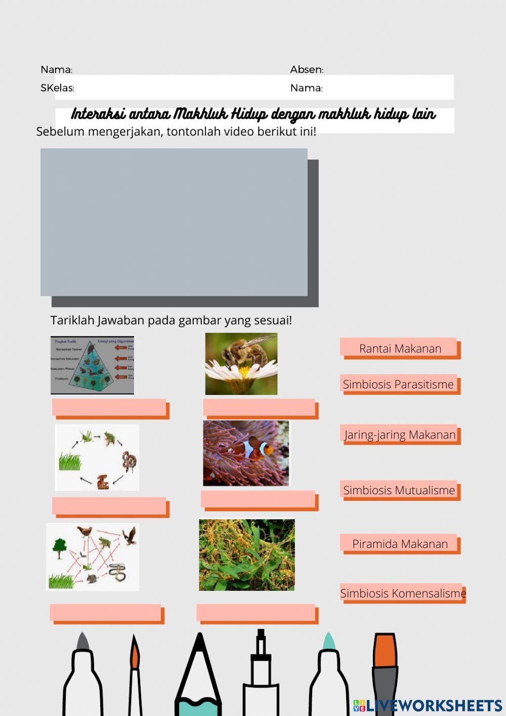 Interaksi Makhluk Hidup