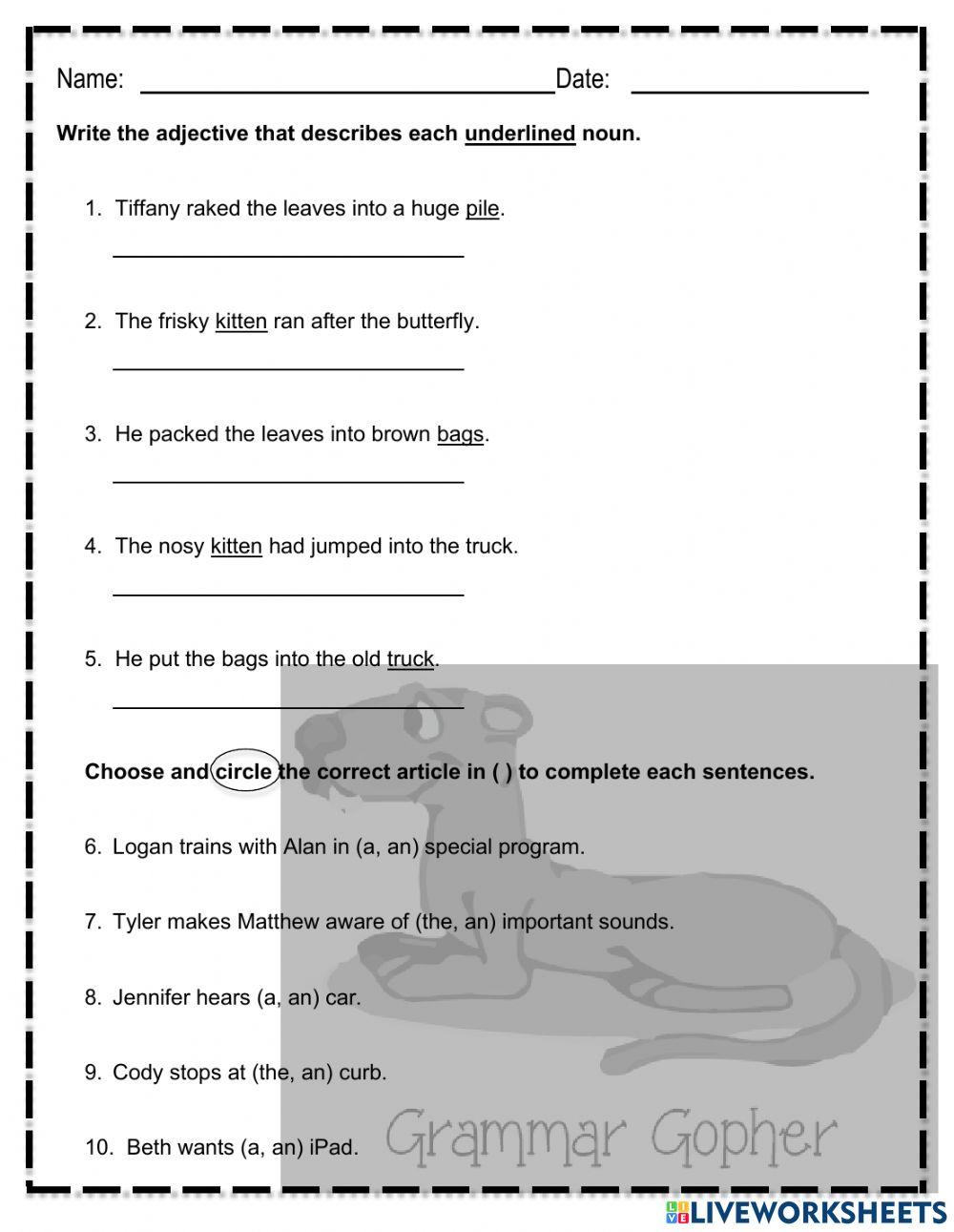 Adjectives & Articles