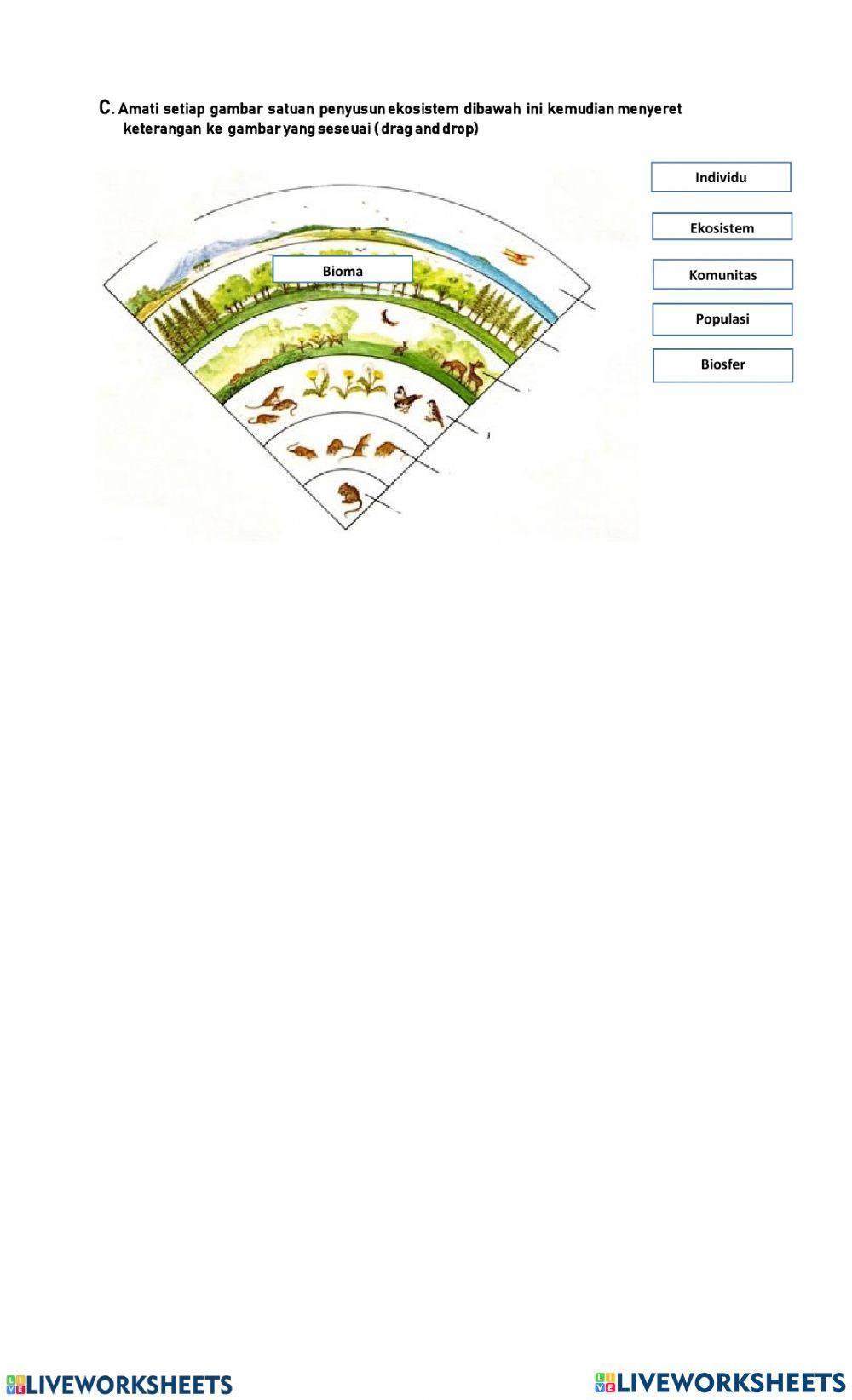 Komponen Biotik dan Abiotik