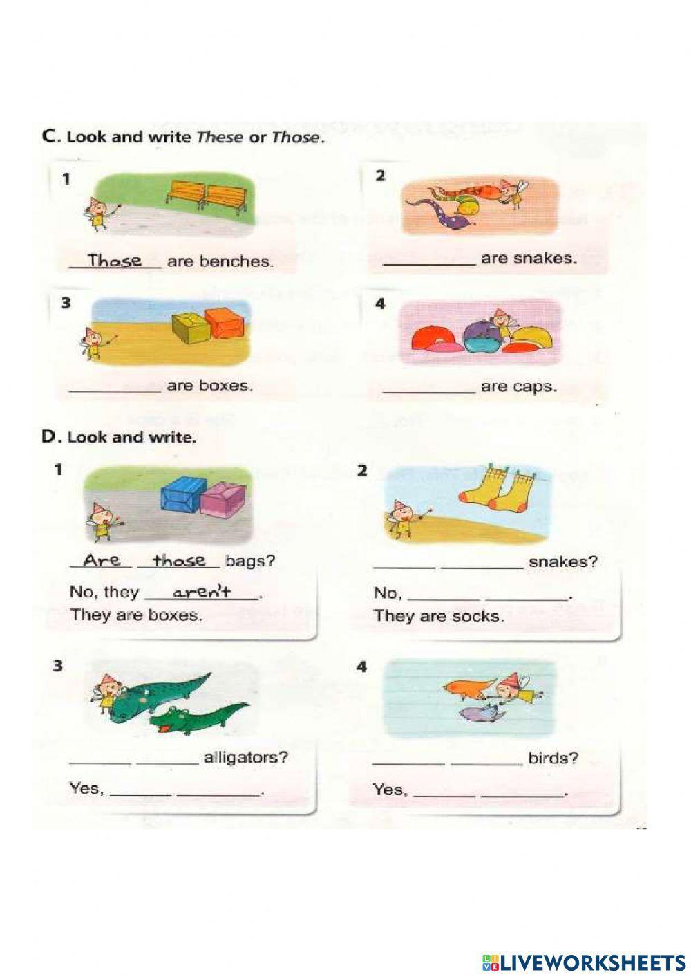 Demonstrative adjectives