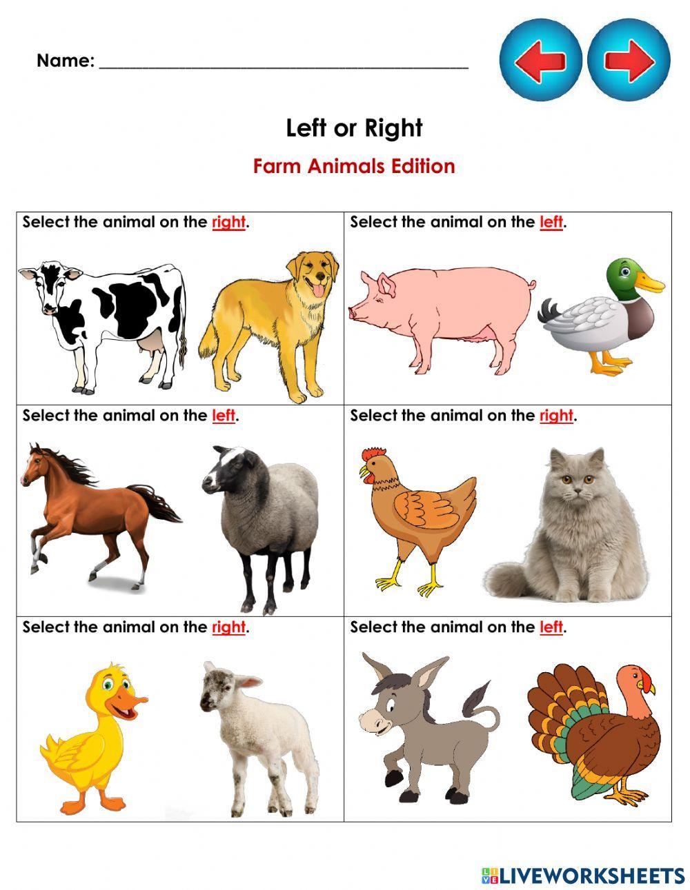 Maths Concepts: Left or Right